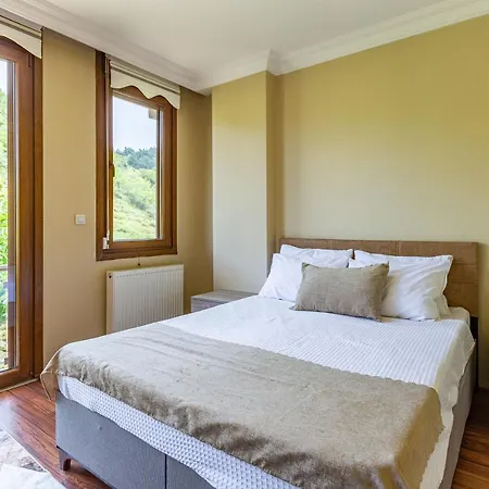 Exceptional Villa With Private Pool And Marvelous View In Sile Villa Istanbul