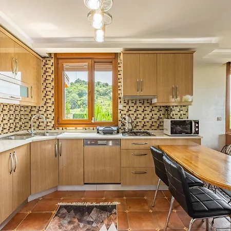 Villa Exceptional Villa With Private Pool And Marvelous View In Sile Istanbul