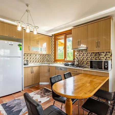 Exceptional Villa With Private Pool And Marvelous View In Sile